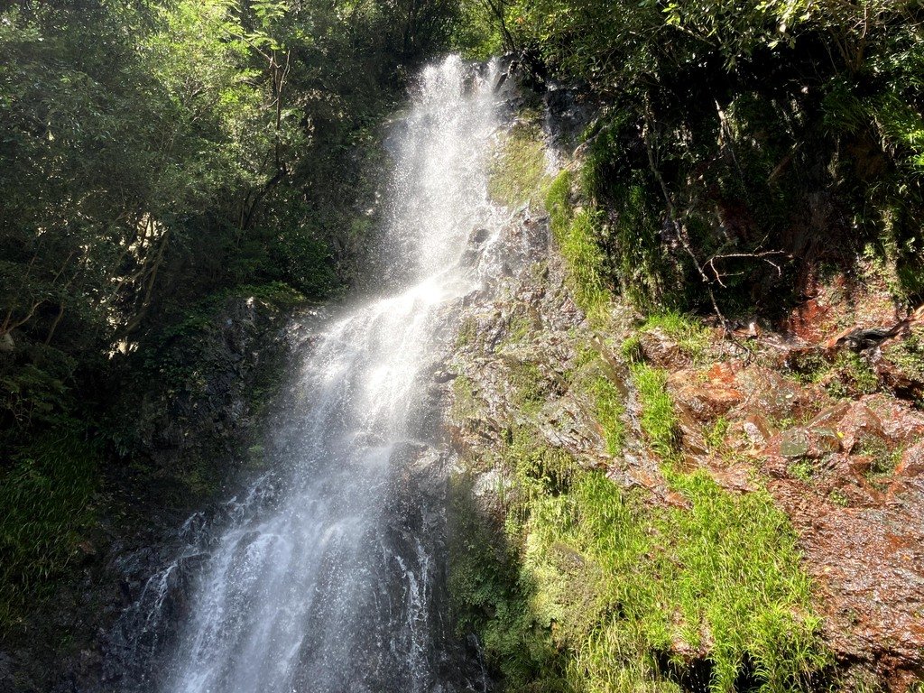 🏞️ 기요미즈 폭포 이미지 5